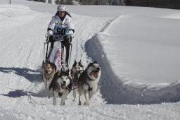 Kandersteg 2013